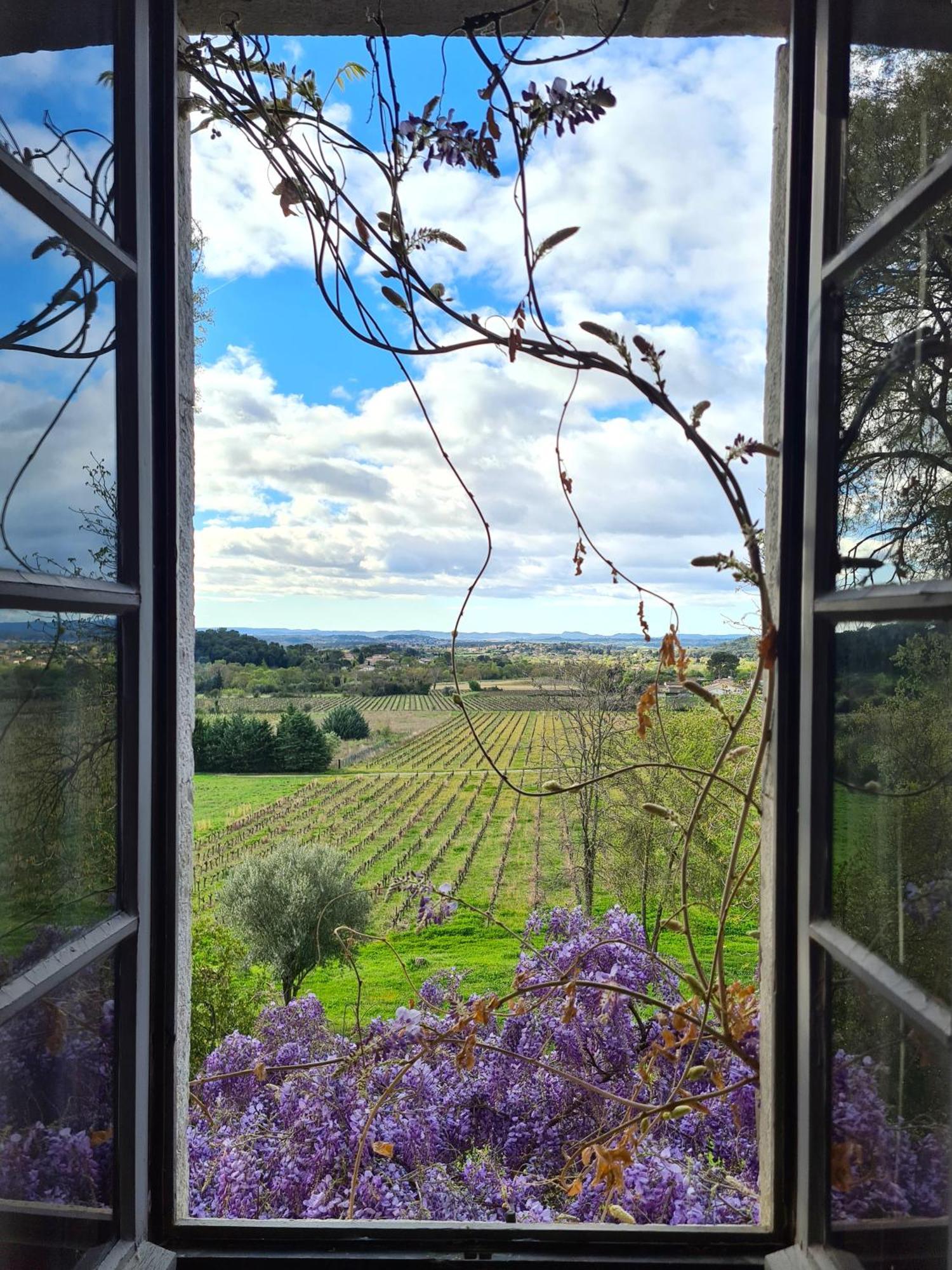 La Bastide De Peyremale, Gites En Cevennes, Piscine, Tennis Bagard 外观 照片